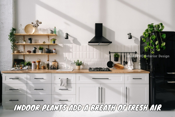 Refreshingly modern kitchen by Janani PVC Interior Design in Bengaluru, featuring clean white cabinetry, subway tiles, and vibrant indoor plants that bring a natural touch to urban living